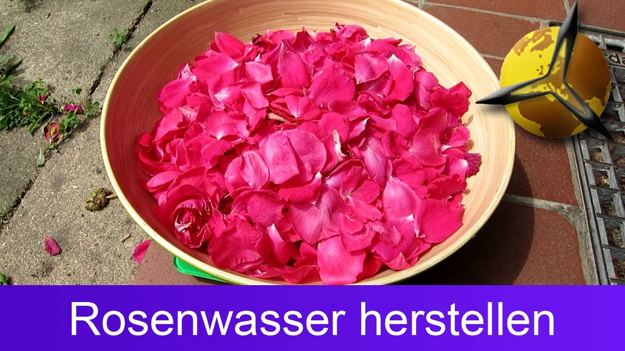 'Video thumbnail for Rosenwasser selber machen / herstellen'