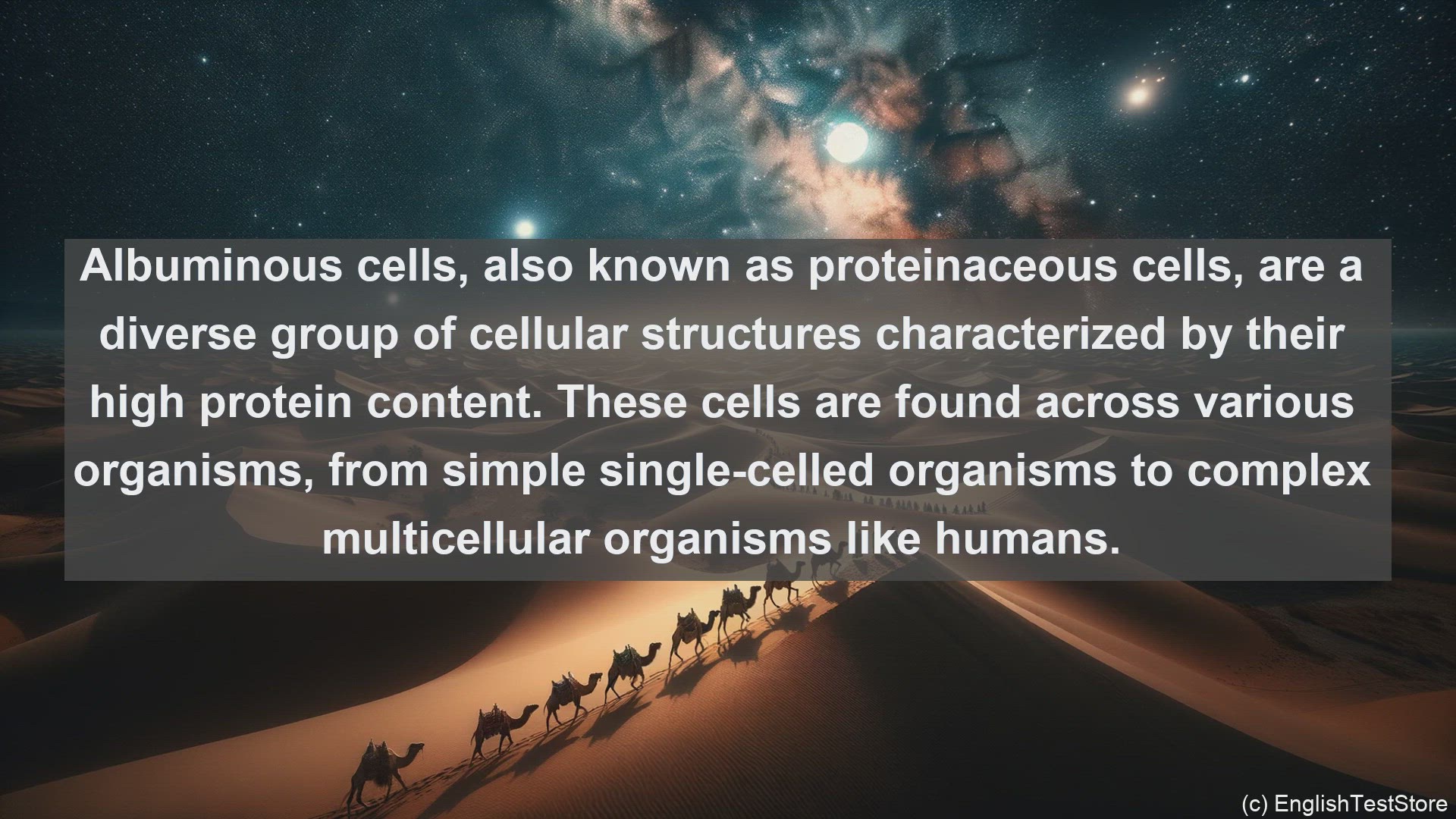 'Video thumbnail for Albuminous cells in science  definition and examples'