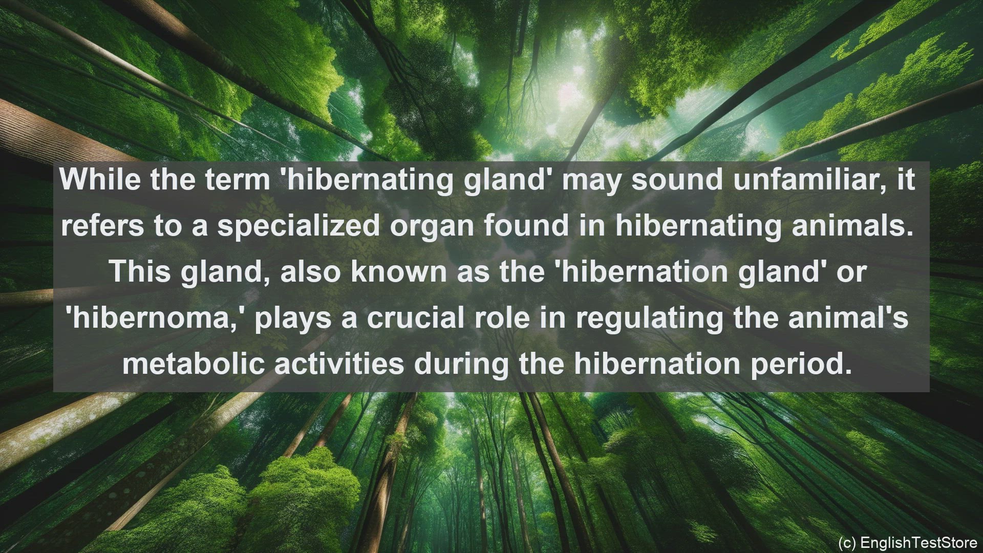 'Video thumbnail for Hibernating gland in science  definition and examples'