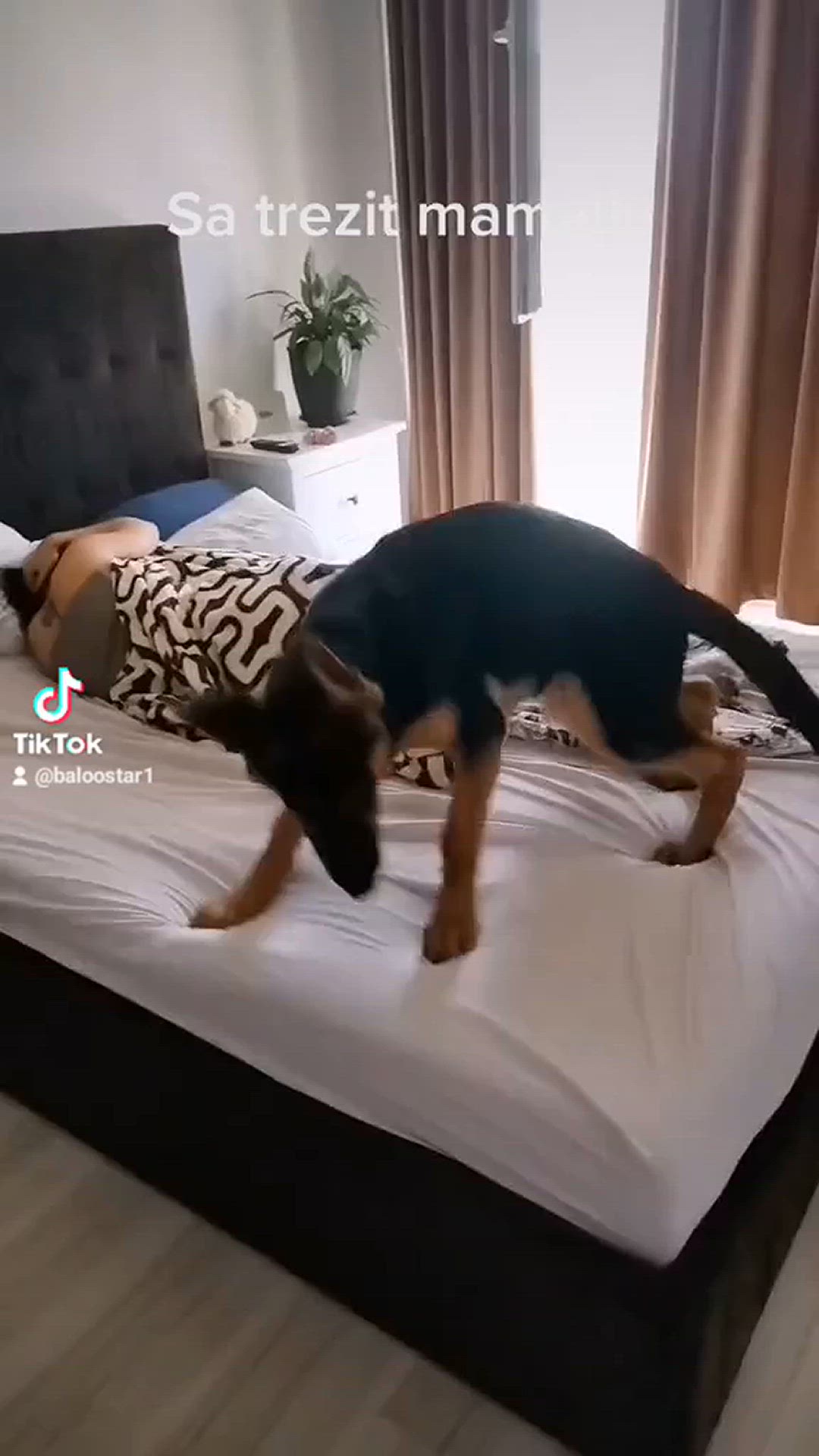 'Video thumbnail for Baloo-star.com'