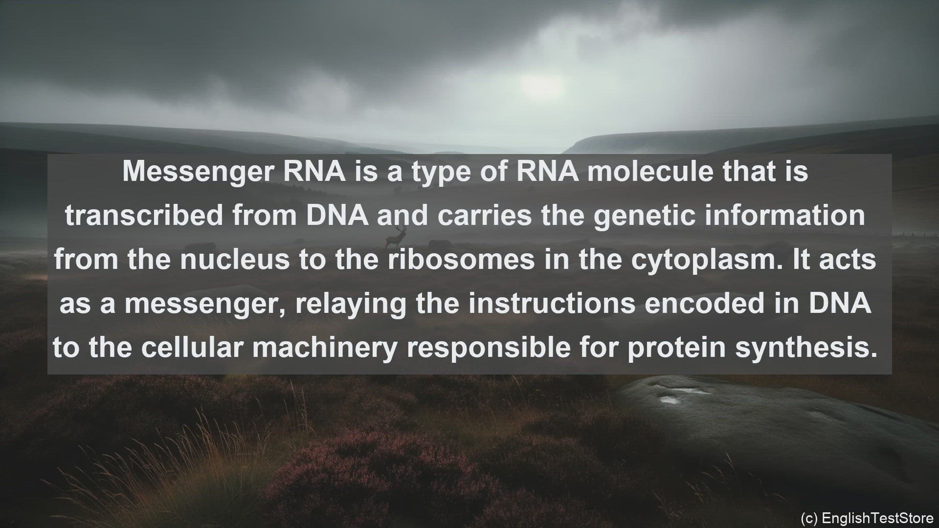 'Video thumbnail for Messenger rna in science  definition and examples'
