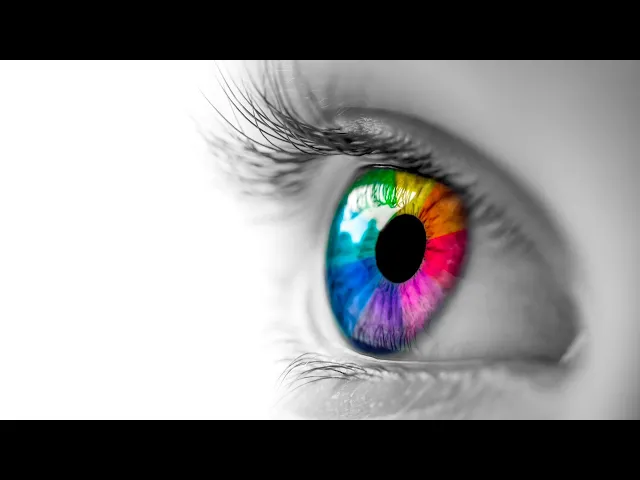 Video thumbnail for ¿Por qué los objetos tienen color? Video blog