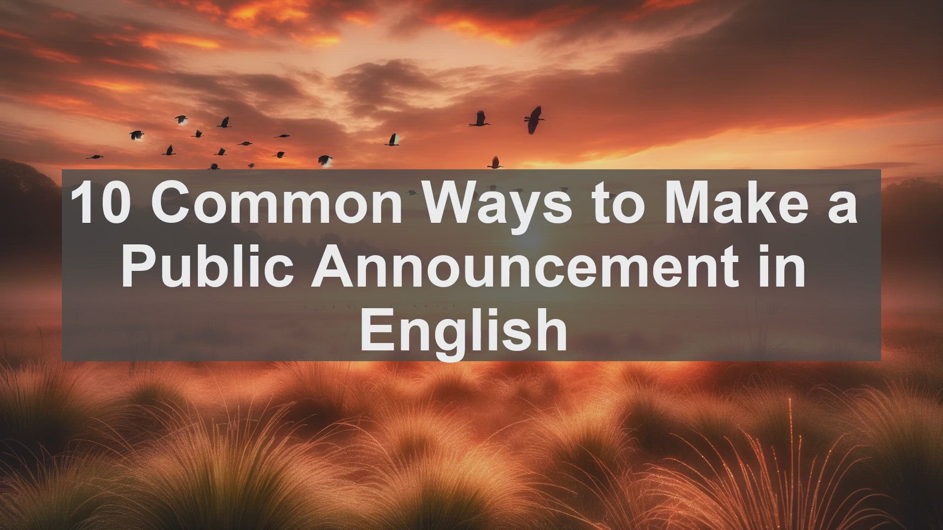 'Video thumbnail for 10 Common Ways to Make a Public Announcement in English '