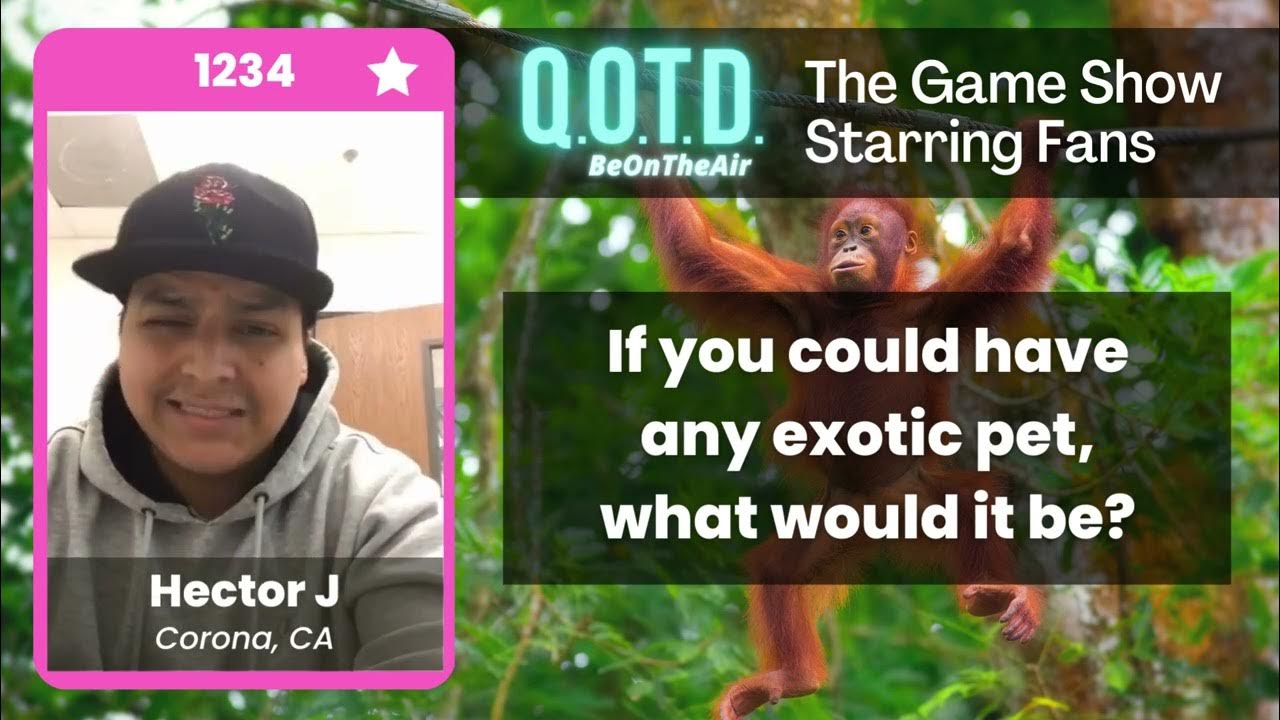 Video thumbnail for Our Favorite Answers: Hector wants an orangutan BFF. Talk about monkeying around!