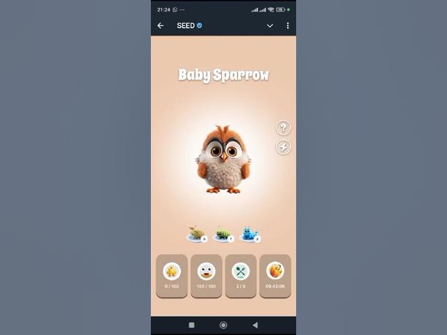Video thumbnail for seed telegram airdrop