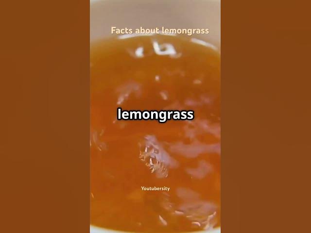 Video thumbnail for Facts about lemongrass #HerbalFacts #HealthBenefits #Shorts #NaturalRemedies