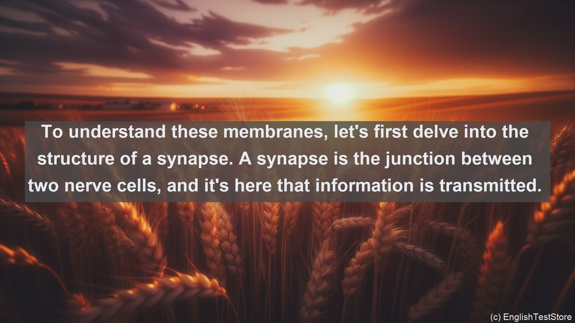 'Video thumbnail for Prepostsynaptic membranes in science  definition and examples'