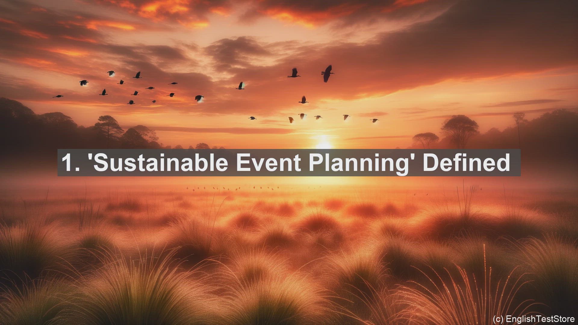'Video thumbnail for Top 10 Sentences for Understanding Sustainable Event Planning'