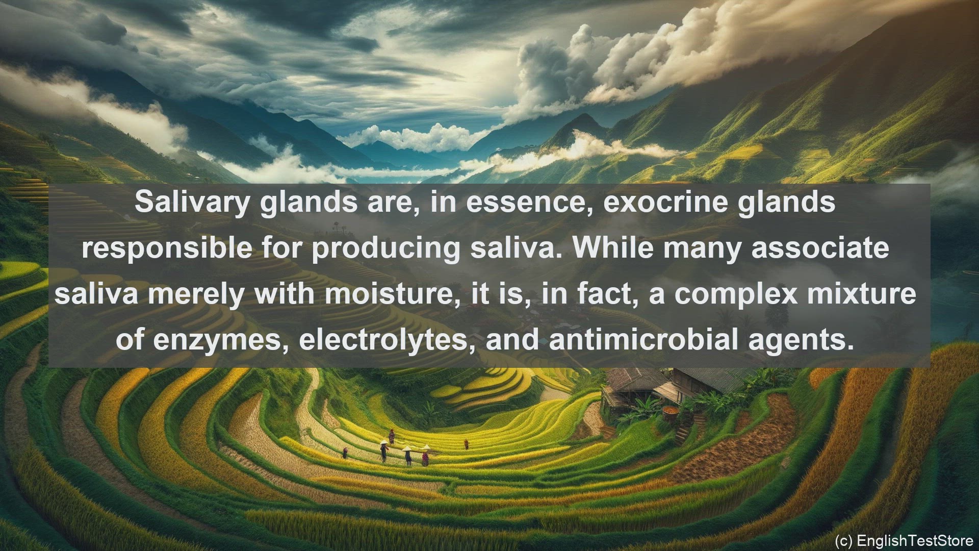 'Video thumbnail for Salivary glands in science  definition and examples'