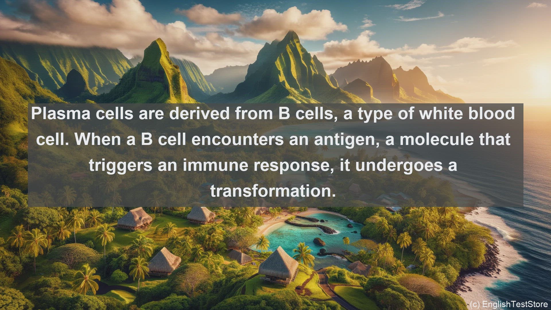 'Video thumbnail for Plasma cells in science  definition and examples'