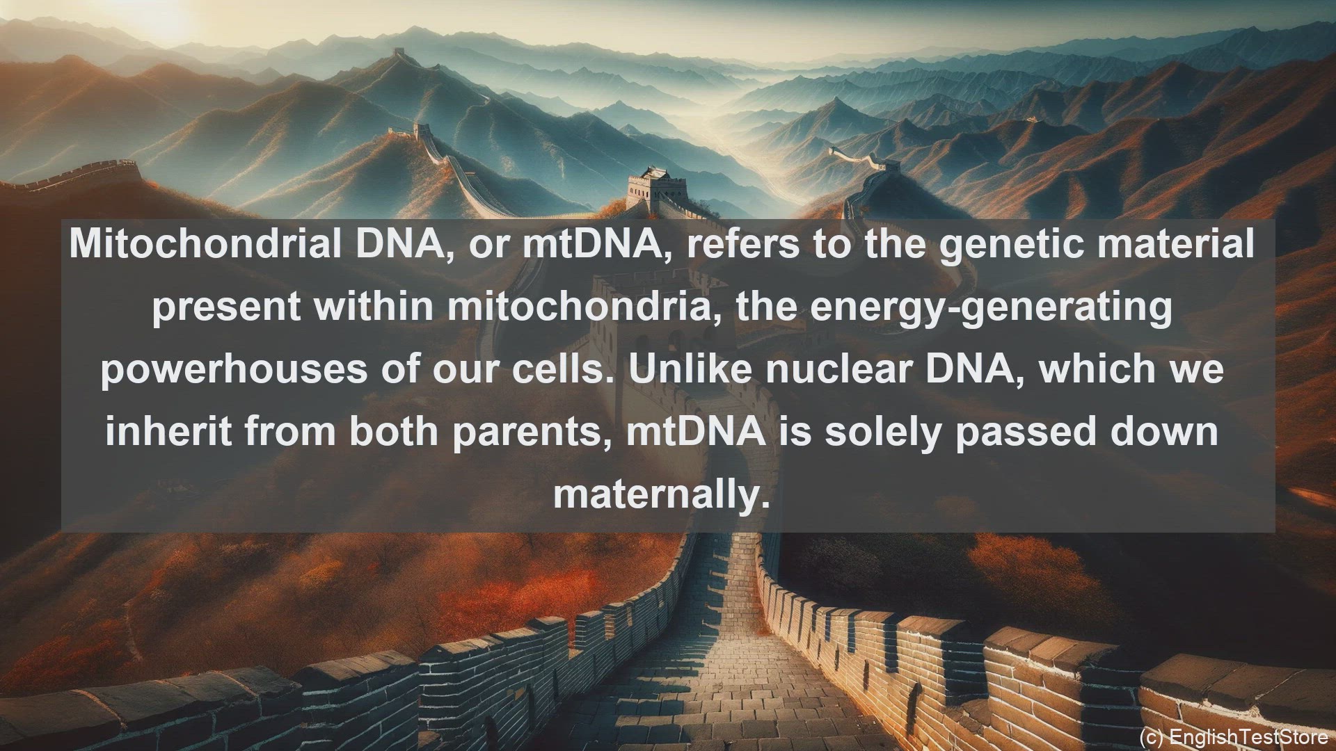 'Video thumbnail for Mitochondrial dna in science  definition and examples'