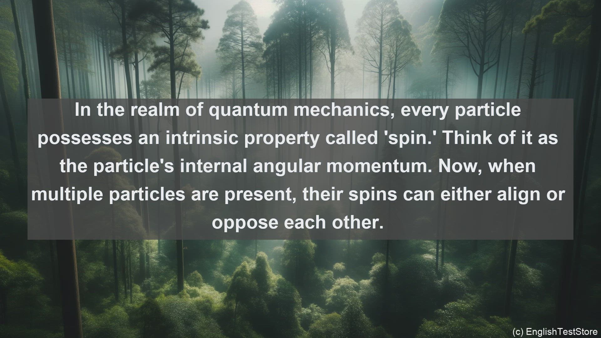 'Video thumbnail for Parallel spins in science  definition and examples'