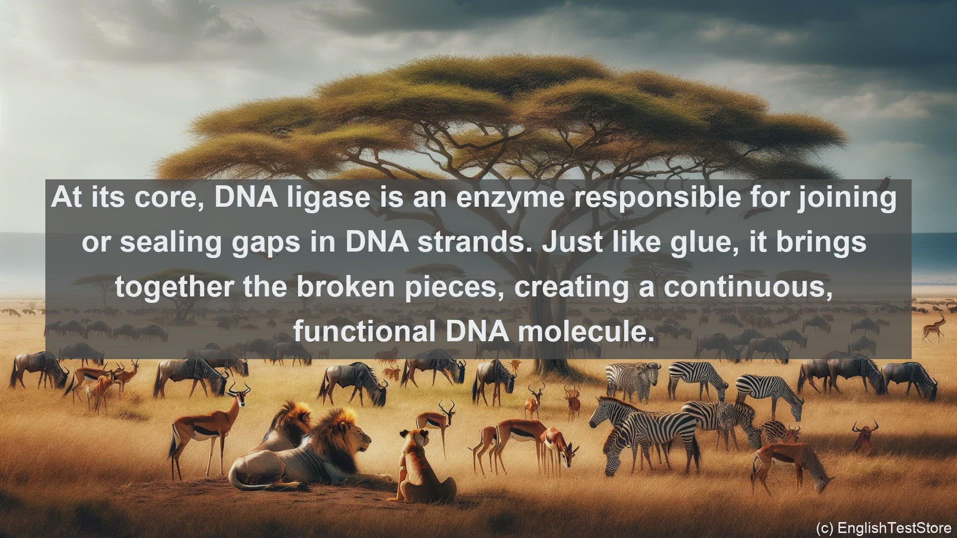 'Video thumbnail for Dna ligase in science  definition and examples'