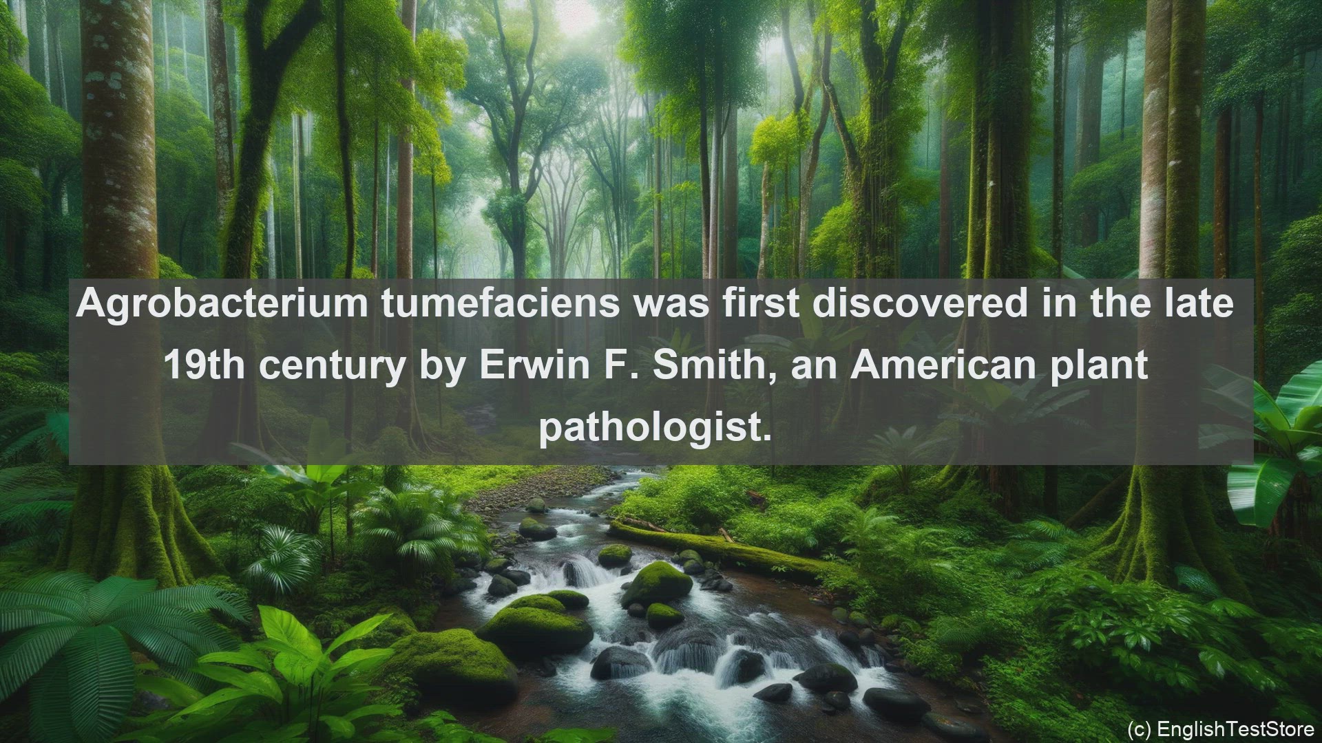 'Video thumbnail for Agrobacterium tumefactions in science  definition and examples'