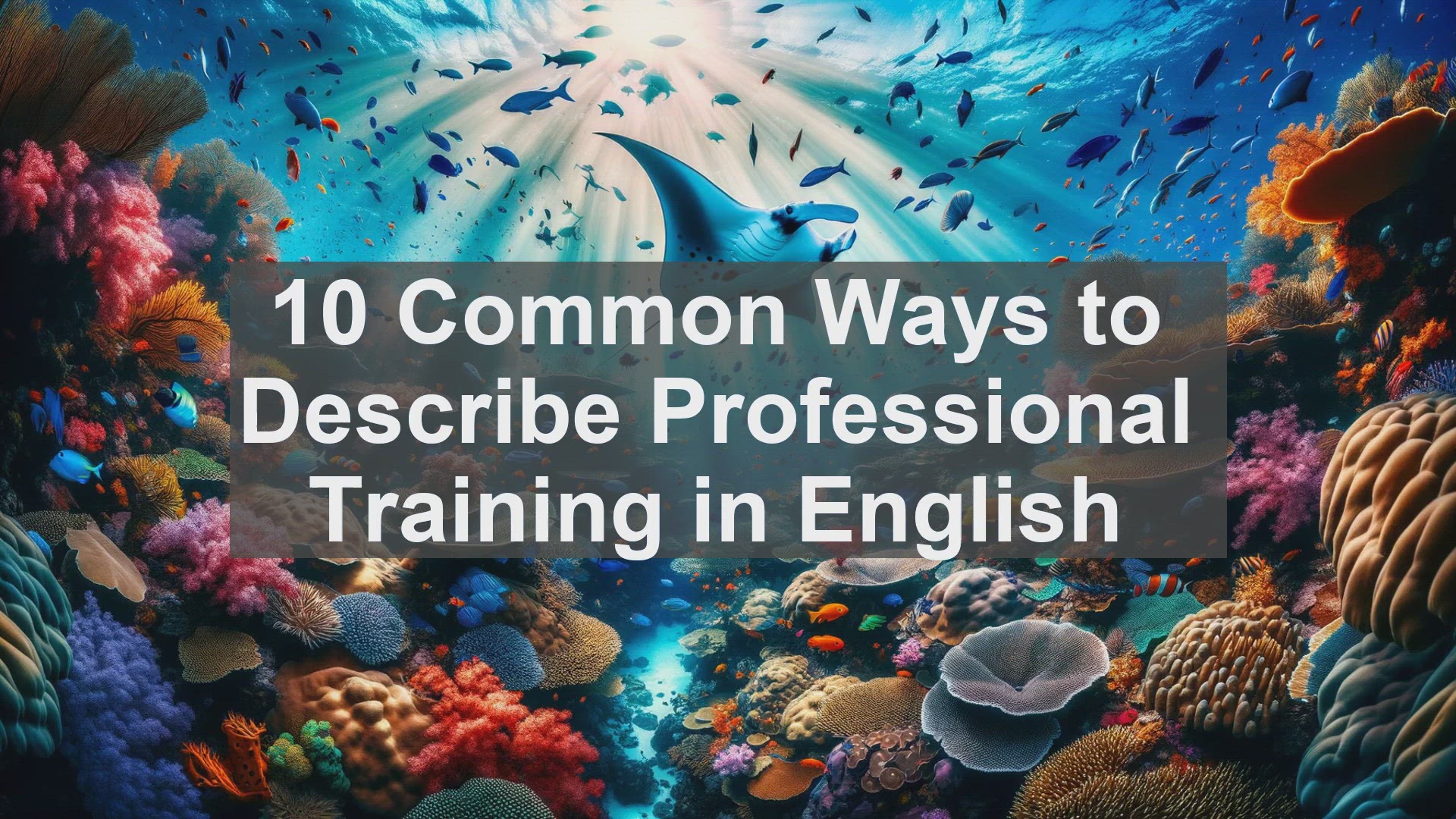 'Video thumbnail for 10 Common Ways to Describe Professional Training in English '