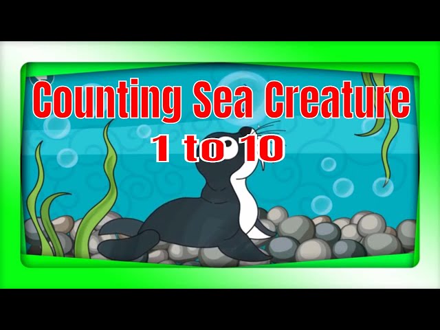 Video thumbnail for Counting Sea Creatures 1 to 20 | Learn to Count 1 to 20 |TV Style