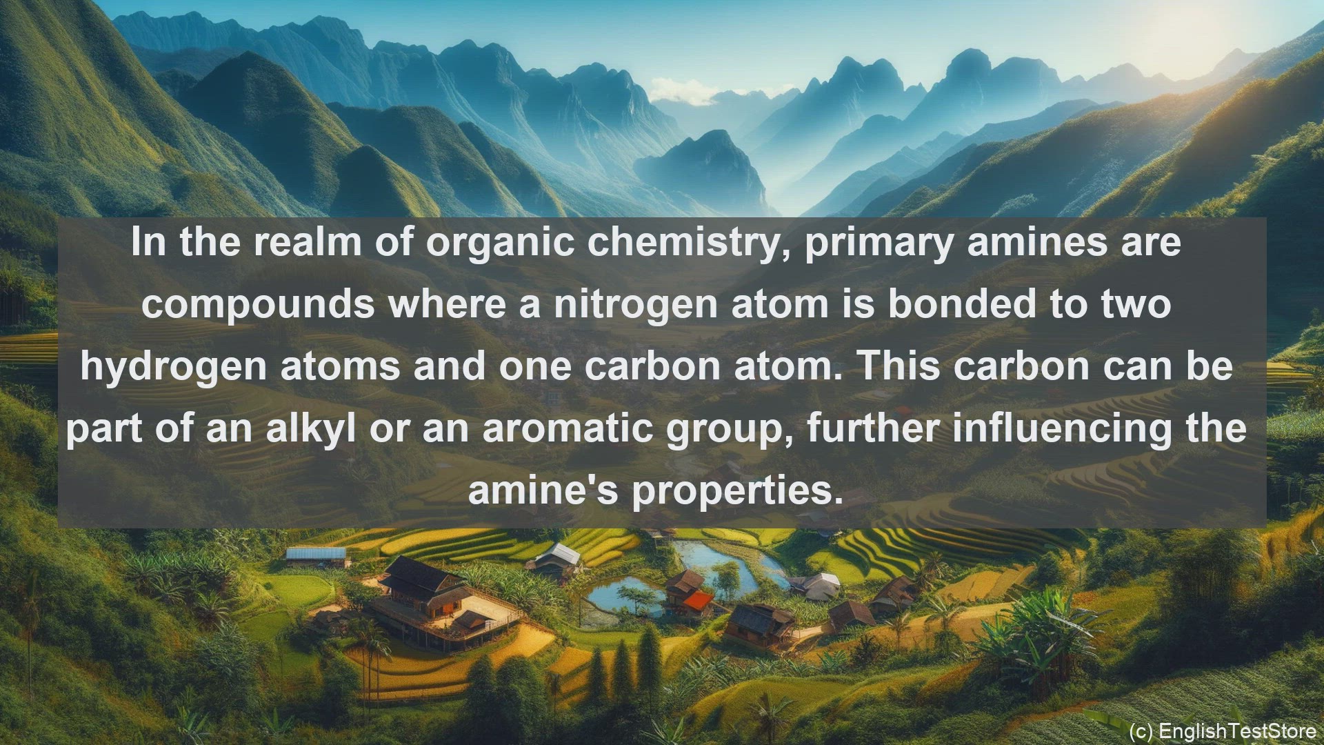'Video thumbnail for Primary amines in science  definition and examples'