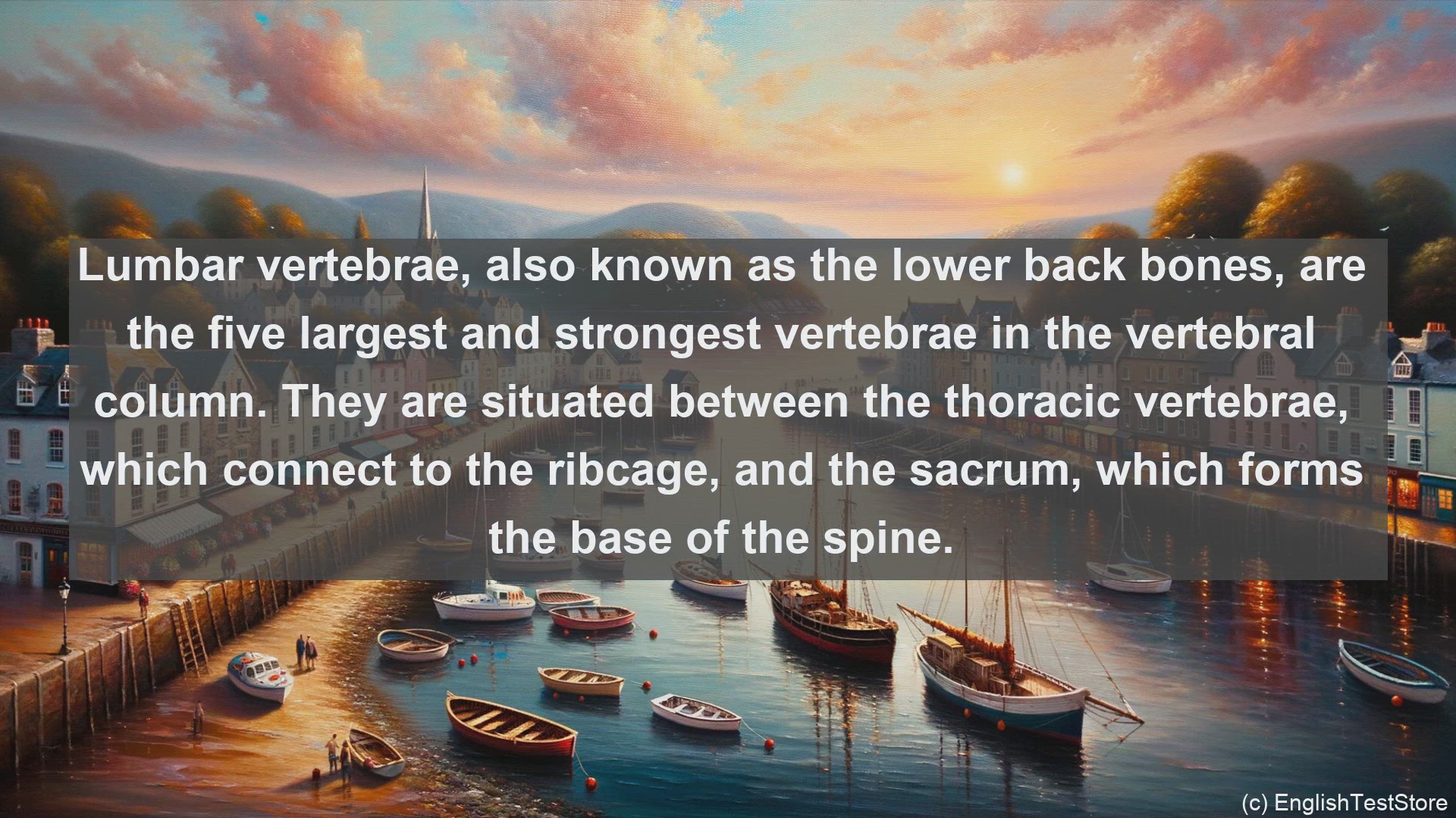 'Video thumbnail for Lumbar vertebrae in science  definition and examples'
