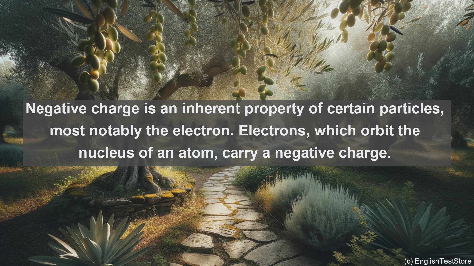 'Video thumbnail for Negative charge in science  definition and examples'