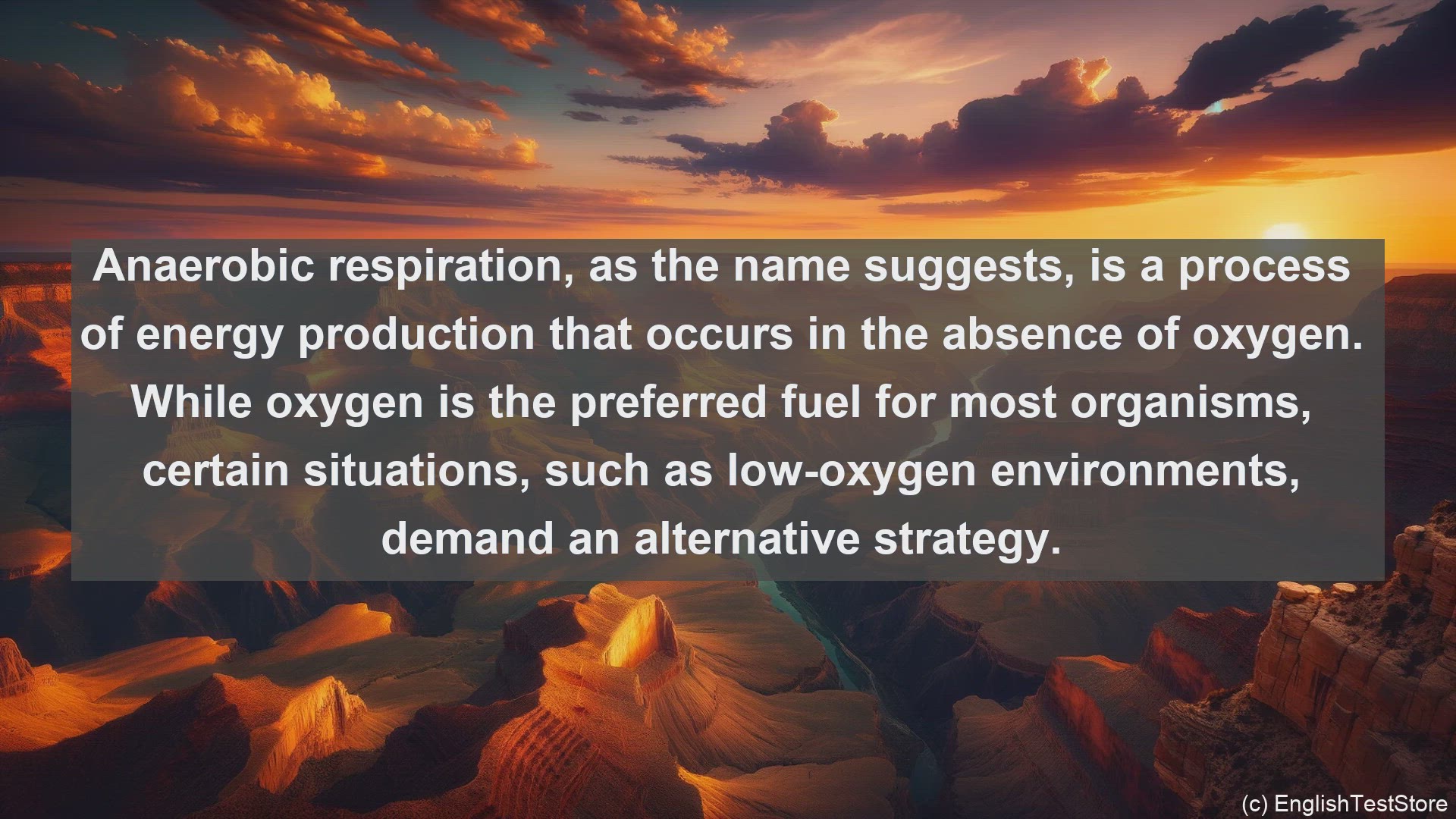 'Video thumbnail for Anaerobic respiration in science  definition and examples'