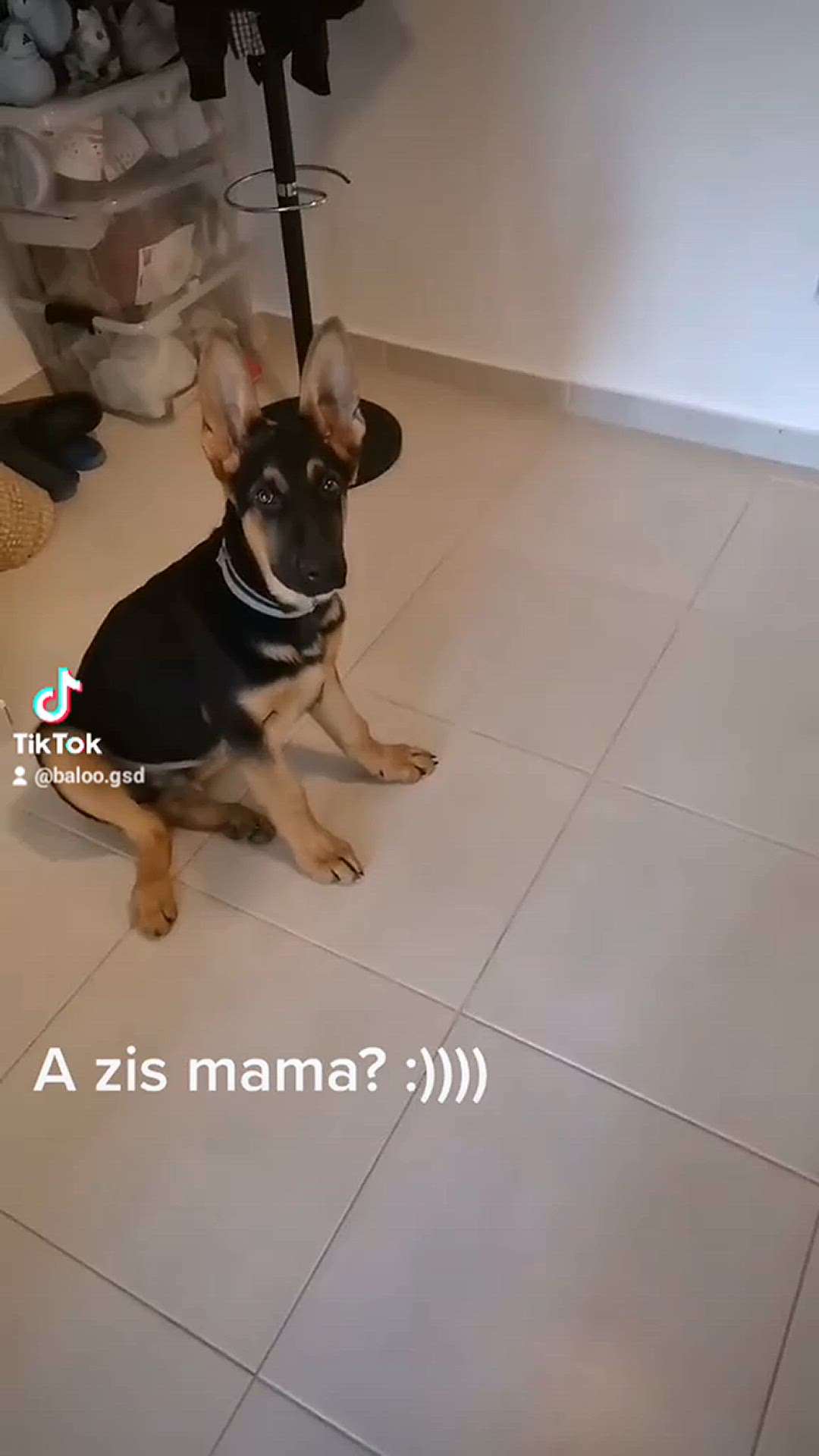 'Video thumbnail for Baloo-star.com'