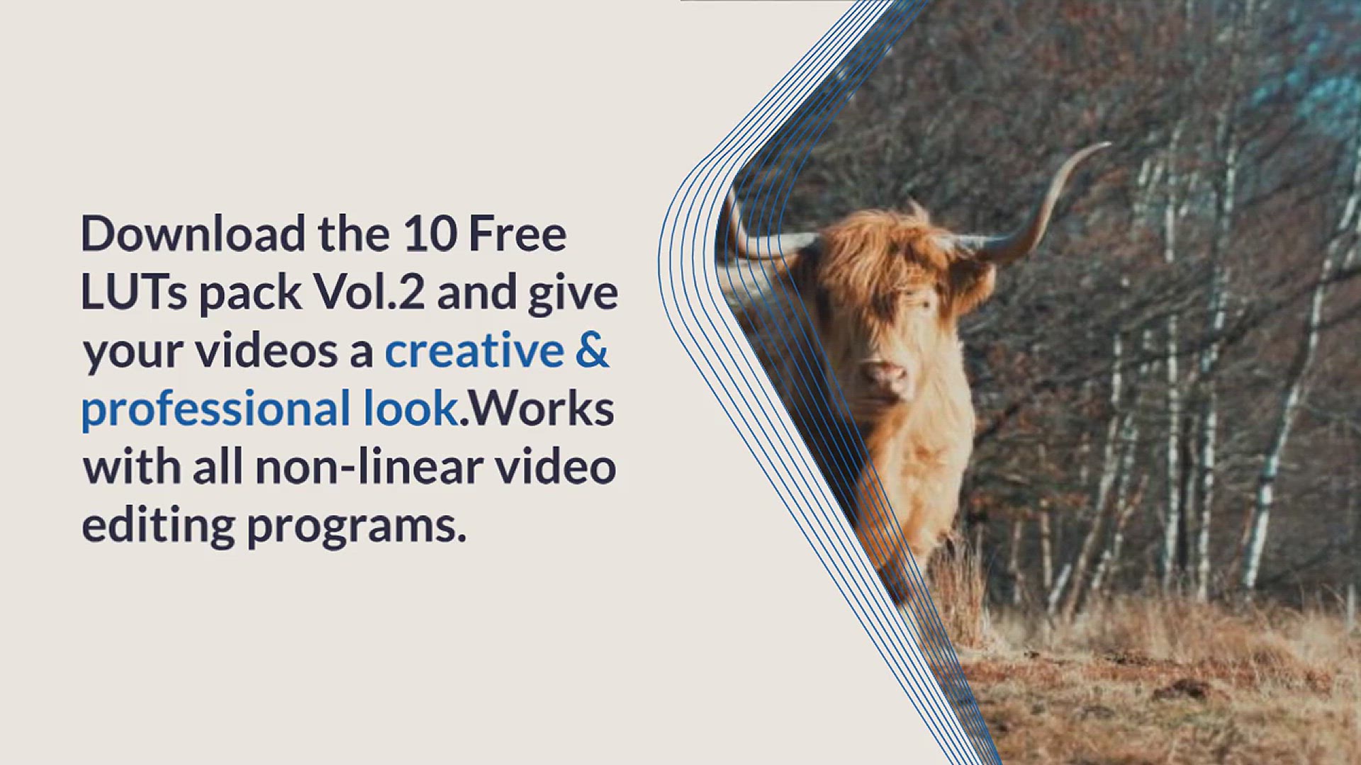 'Video thumbnail for 10 Free LUTs Pack Vol. 2 For Creative Color Grading'