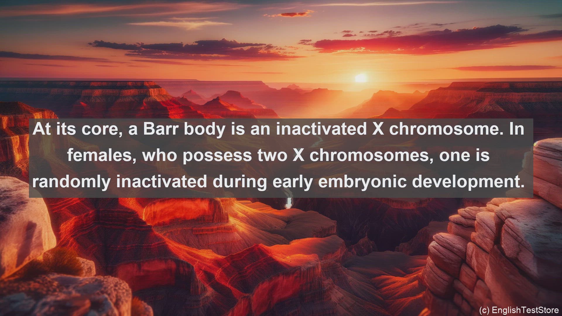 'Video thumbnail for Barr body in science  definition and examples'