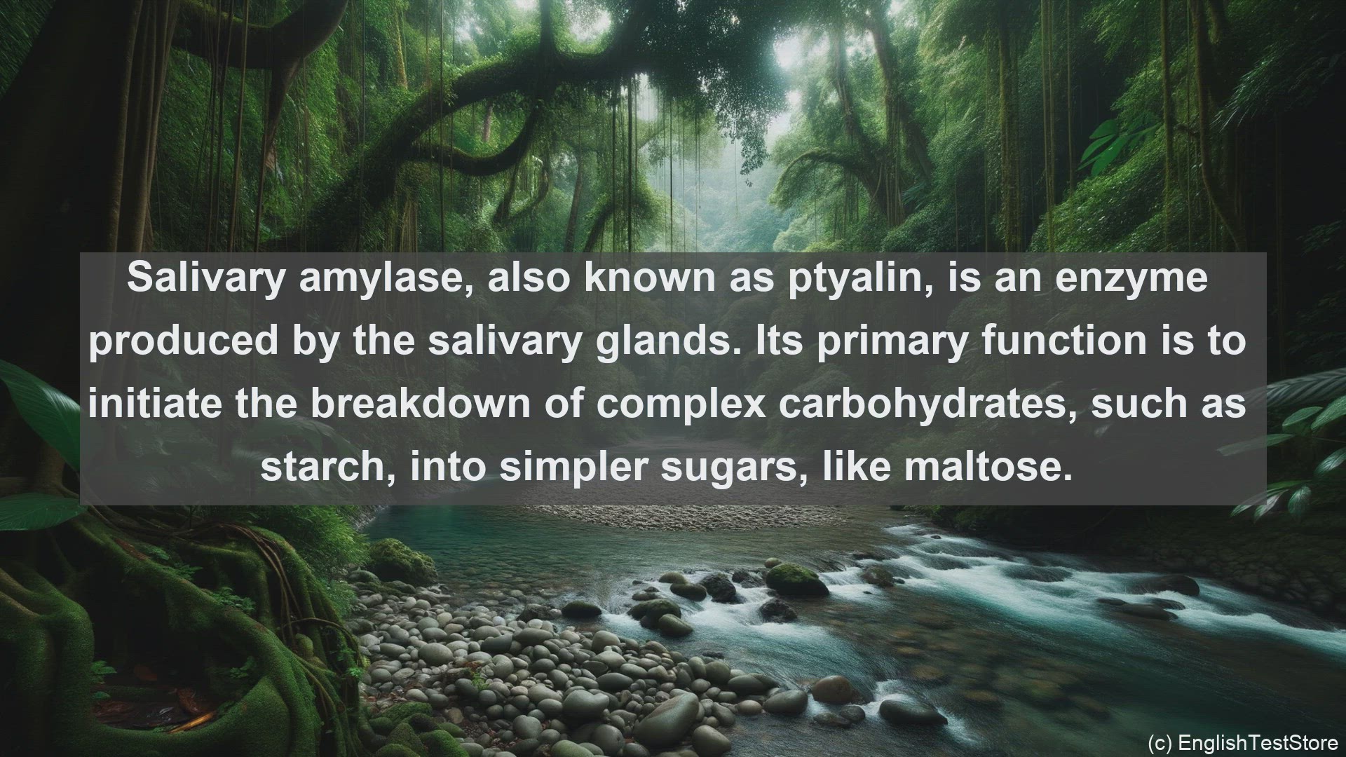 'Video thumbnail for Salivary amylase in science  definition and examples'