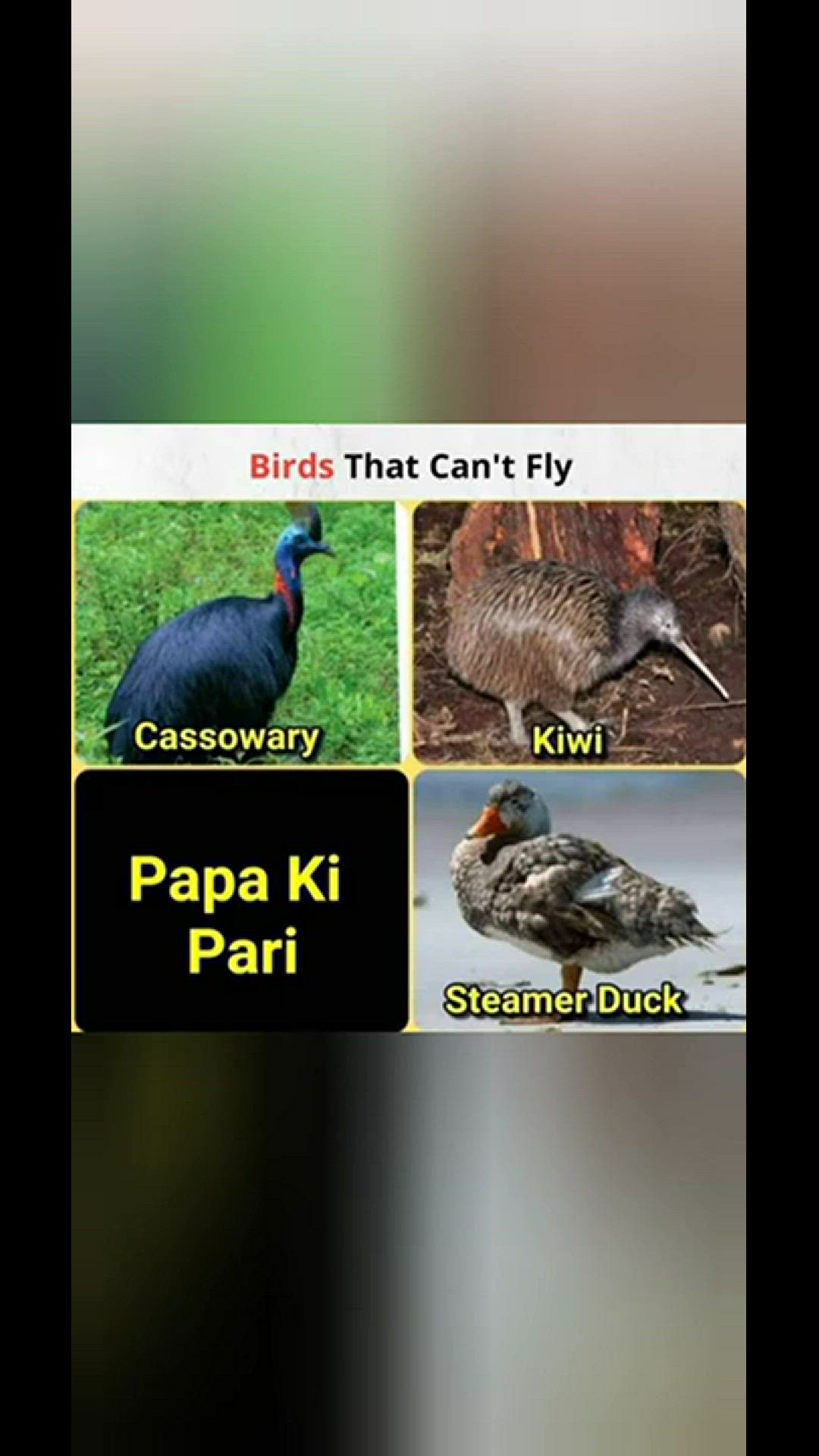 'Video thumbnail for funny memes that will make you laugh #500 || legend memes ||  funny relatable memes 😂 #clean #shorts'