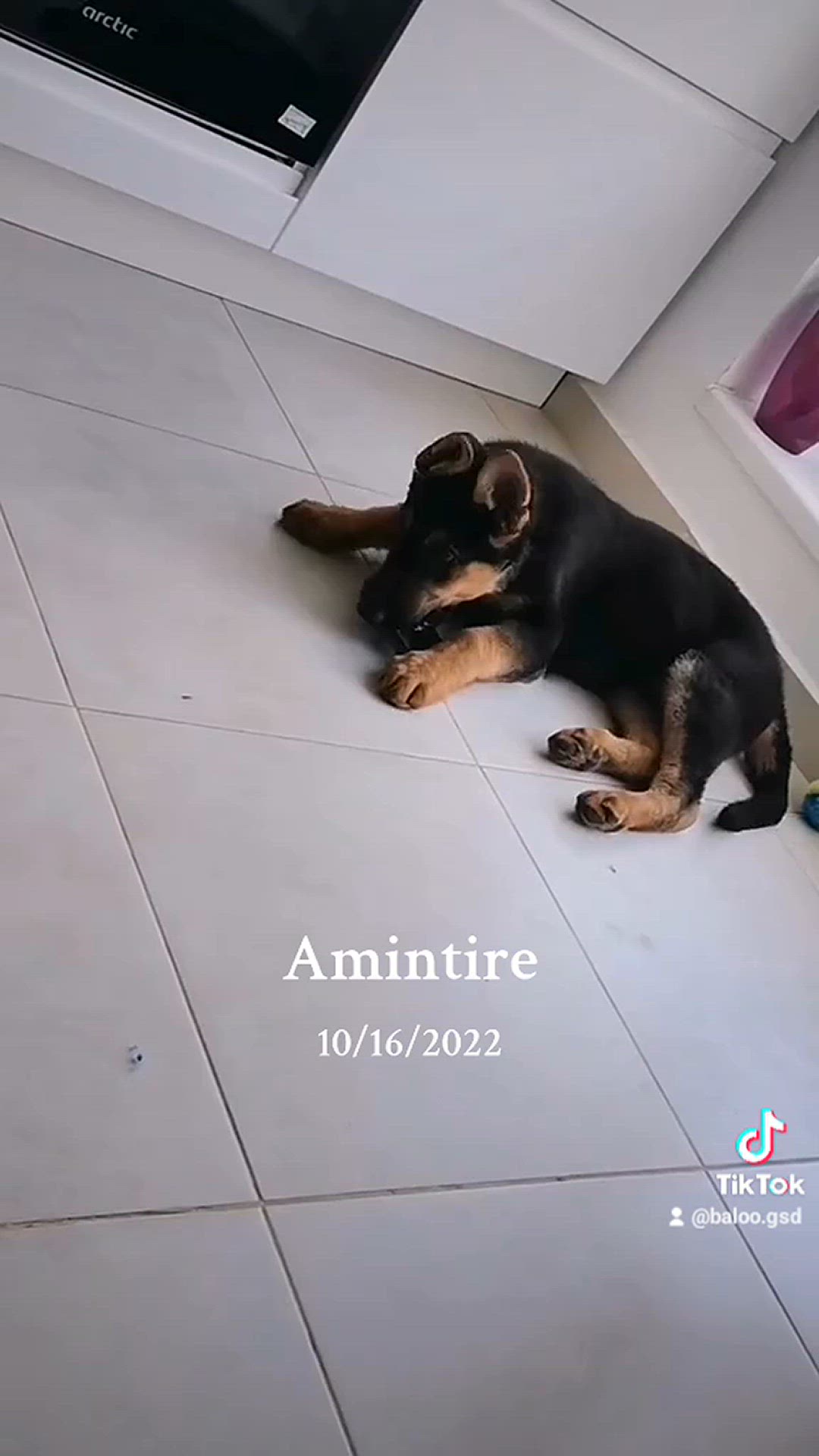 Video thumbnail for Gsd