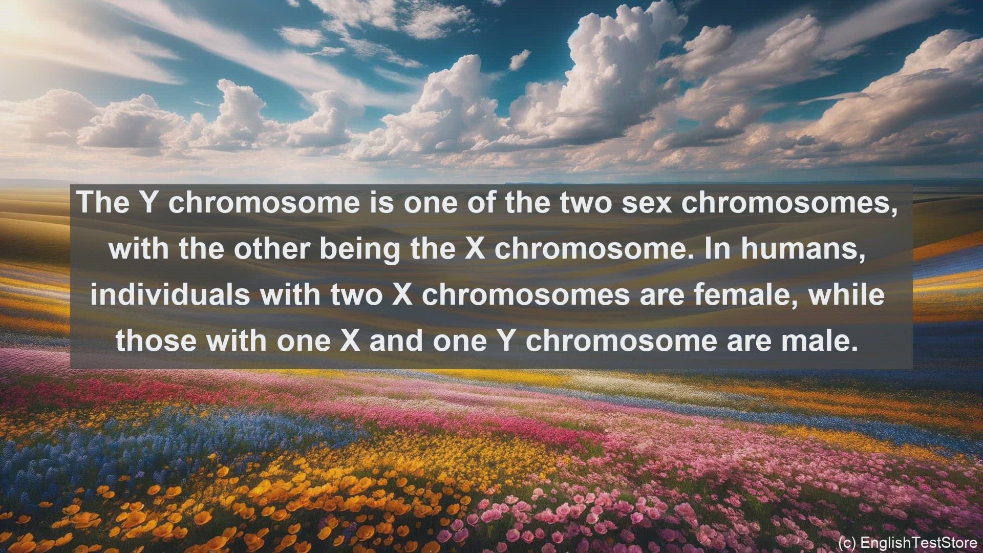 'Video thumbnail for Y chromosome in science  definition and examples'