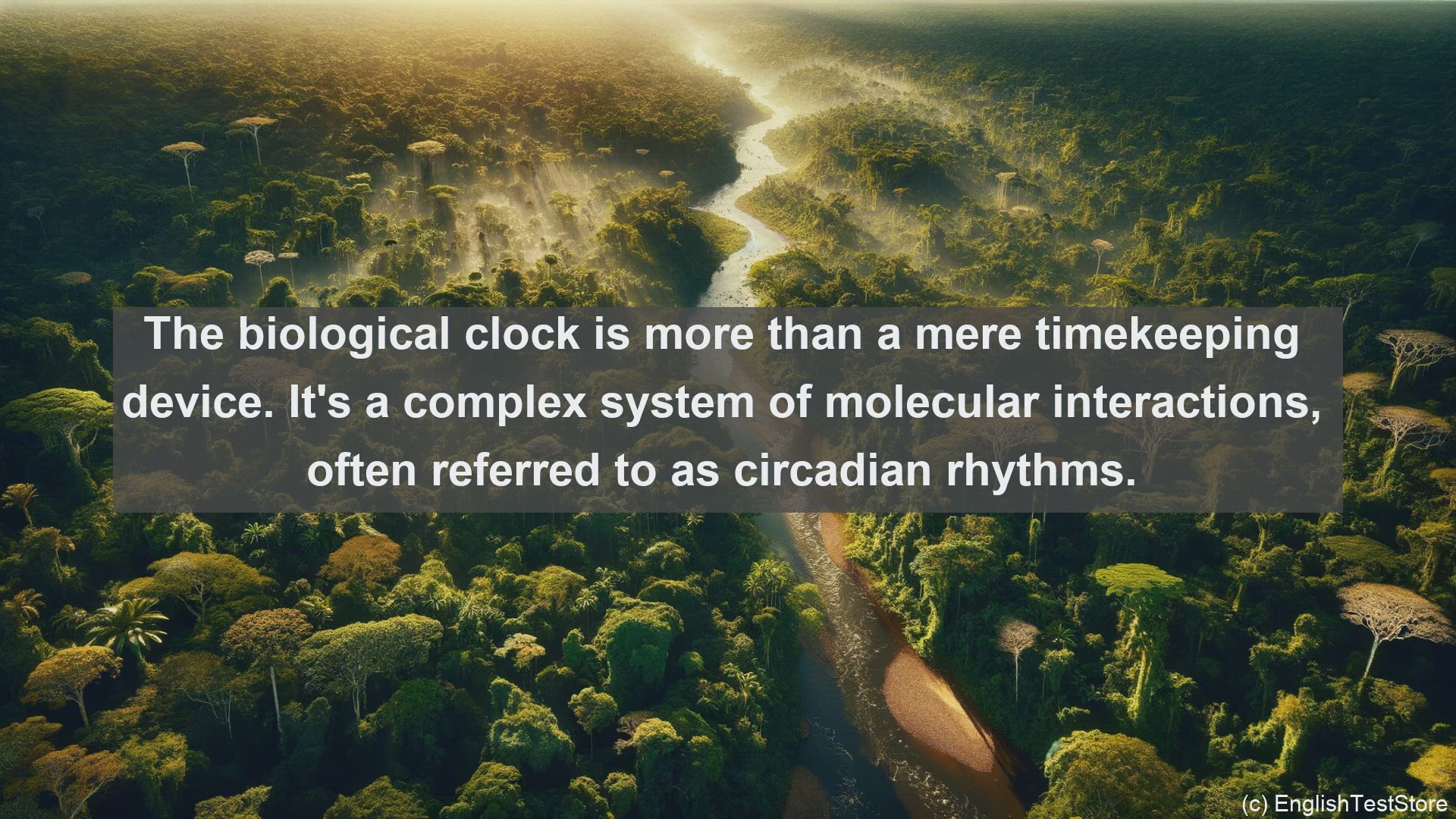 'Video thumbnail for Biological clock in science  definition and examples'