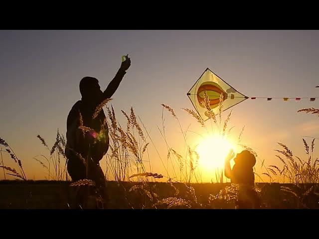 Video thumbnail for The Role Of String In Kite Flying #string #kite flying