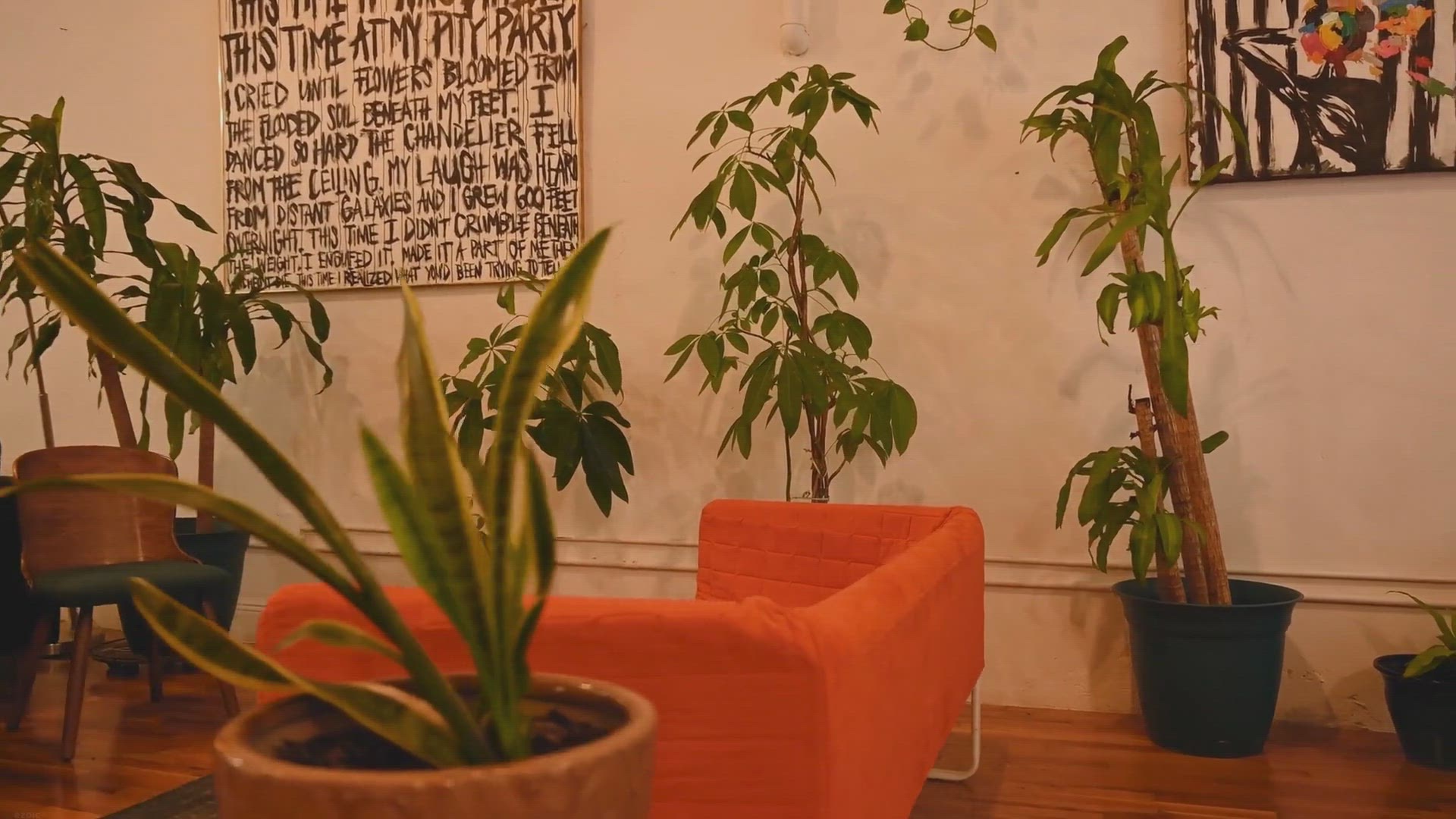 Video thumbnail for Utilizing Corner Spaces With Plants: A Complete Guide