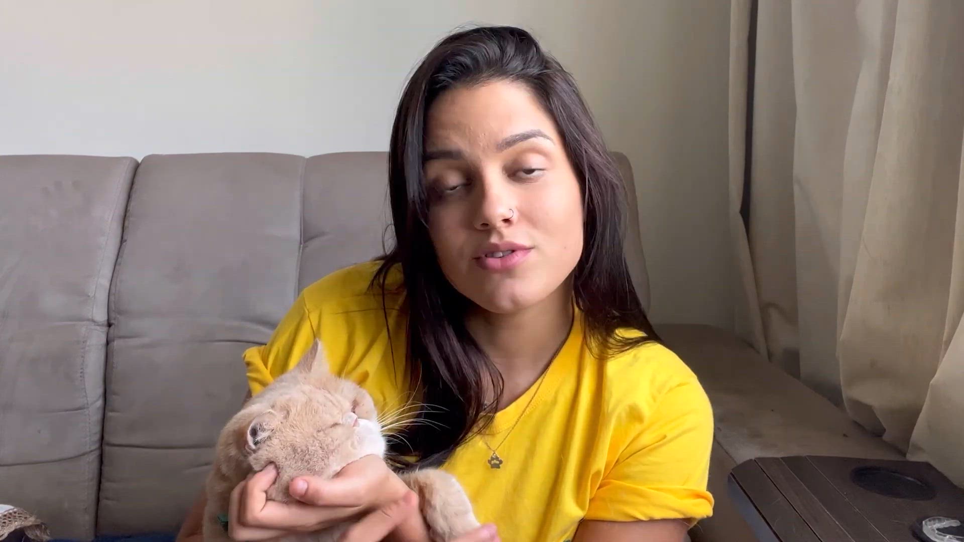 'Video thumbnail for CINCO ERROS COMETIDO POR TUTORES DE GATOS!'