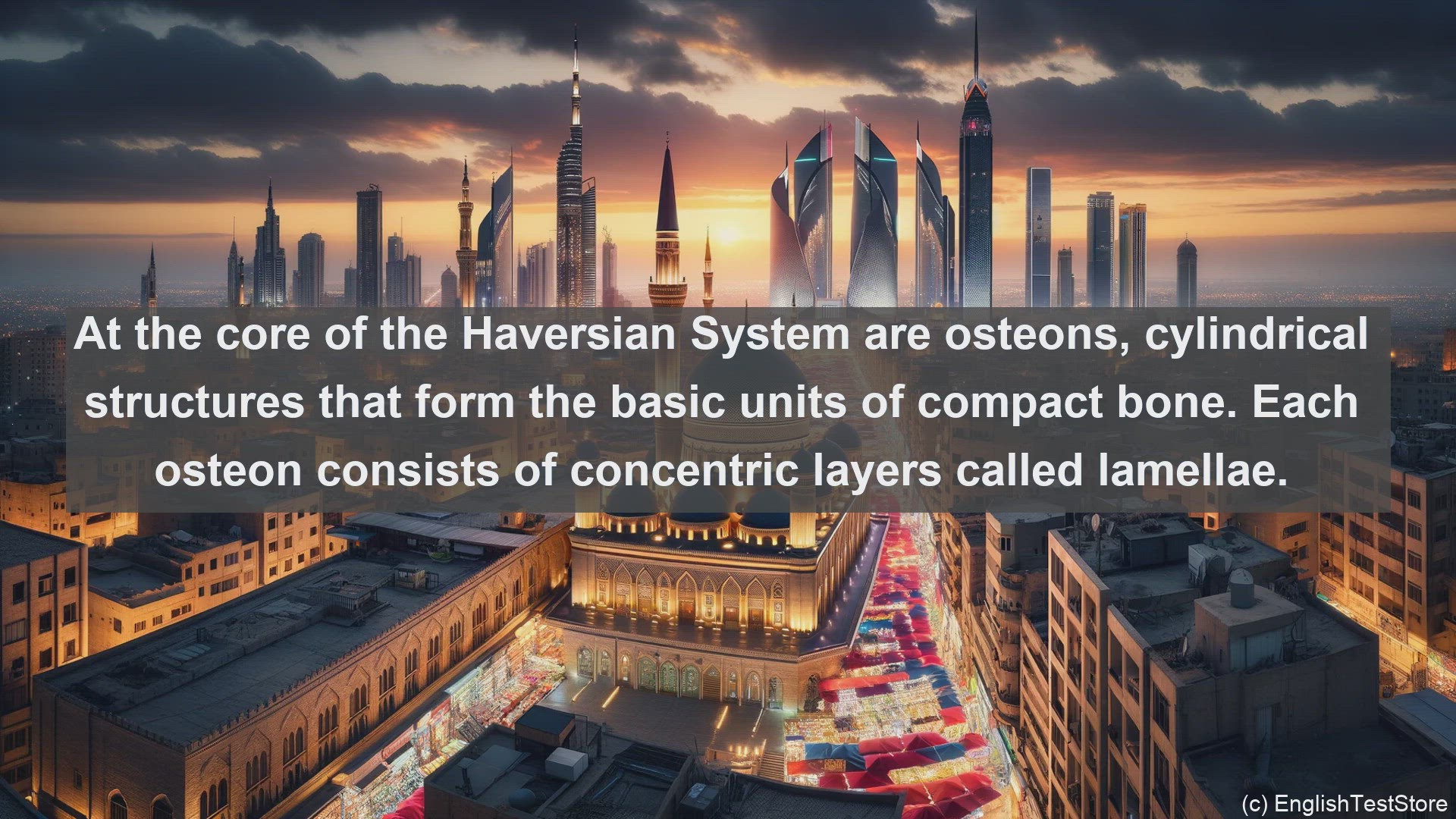 'Video thumbnail for Haversian system in science  definition and examples'