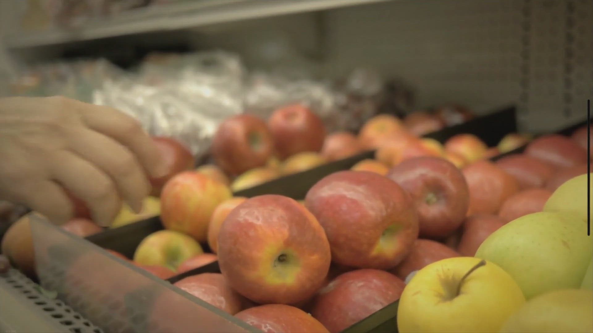 Video thumbnail for The Roots of Good Health: Tracing the Origins and Science Behind 'An Apple a Day Keeps the Doctor Away'