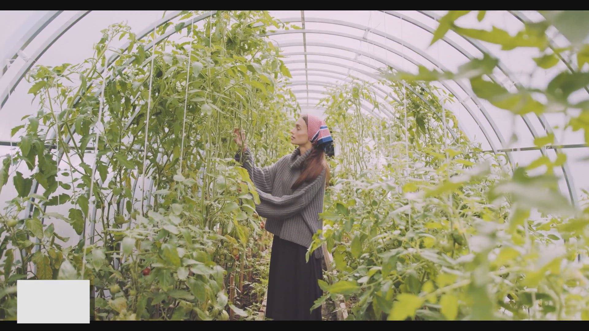 Video thumbnail for Companion Planting: Boost Your Garden's Productivity