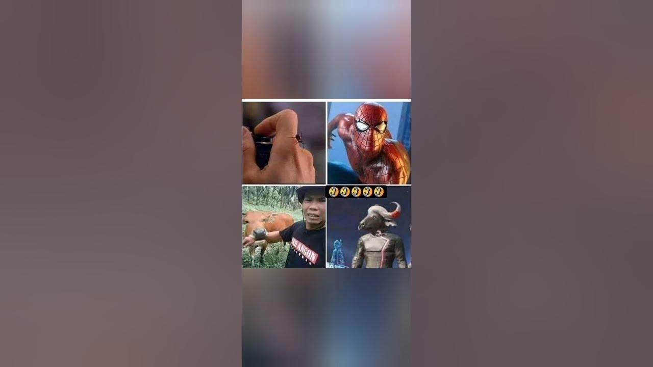 'Video thumbnail for Memes only Legends will find funny,op memes | Relatable memes | #188 #shorts #memes #anonymous #meme'