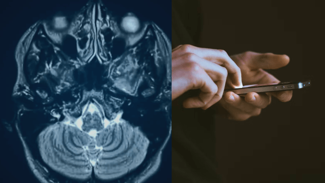 Video thumbnail for Addictions and habits, explained by a neuroscientist, a psychologist, and a journalist