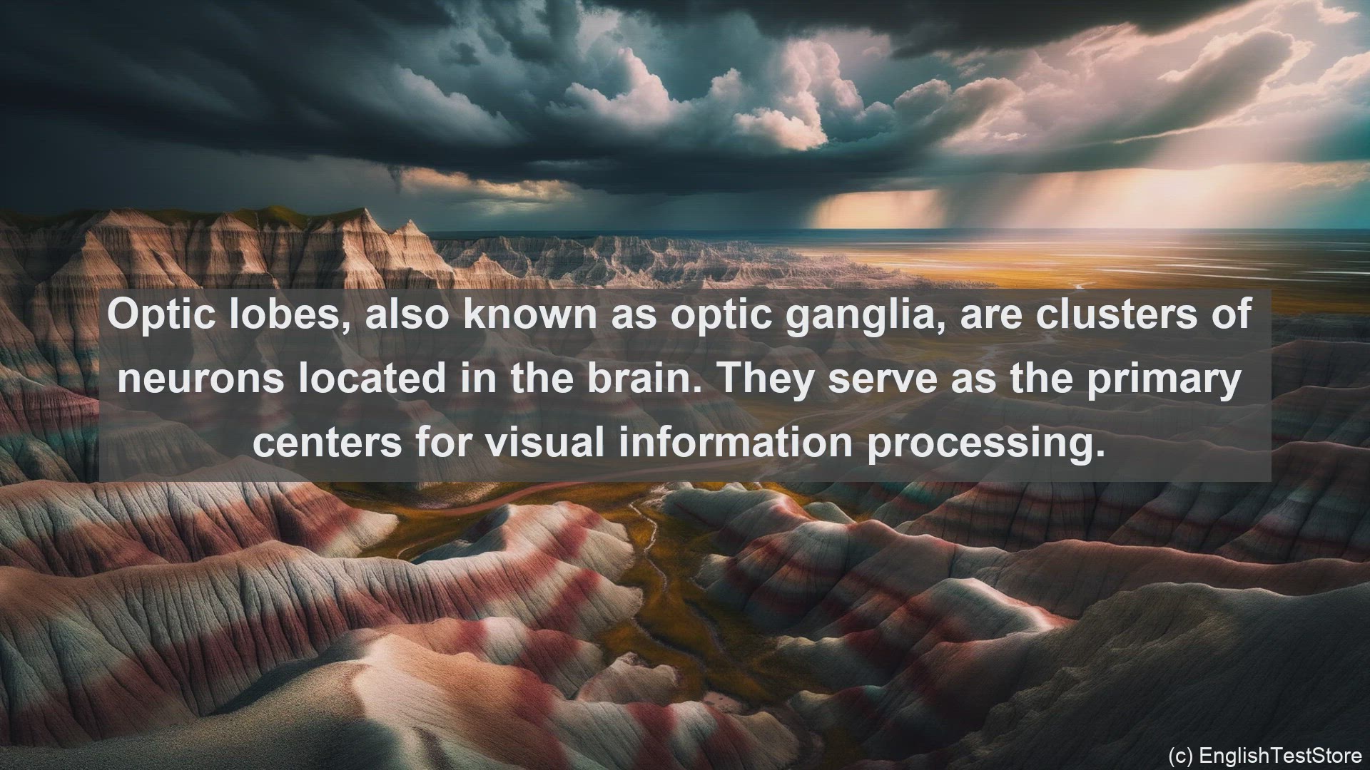 'Video thumbnail for Optic lobes in science  definition and examples'