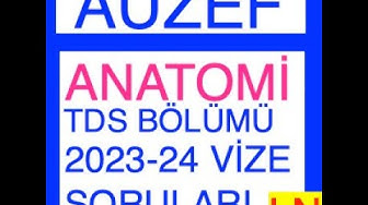 'Video thumbnail for Anatomi (TDS) 2023-2024 Vize Soruları'