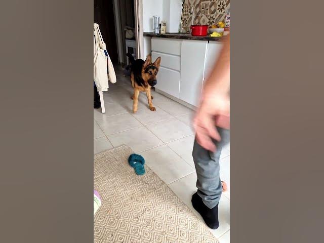 Video thumbnail for 👀