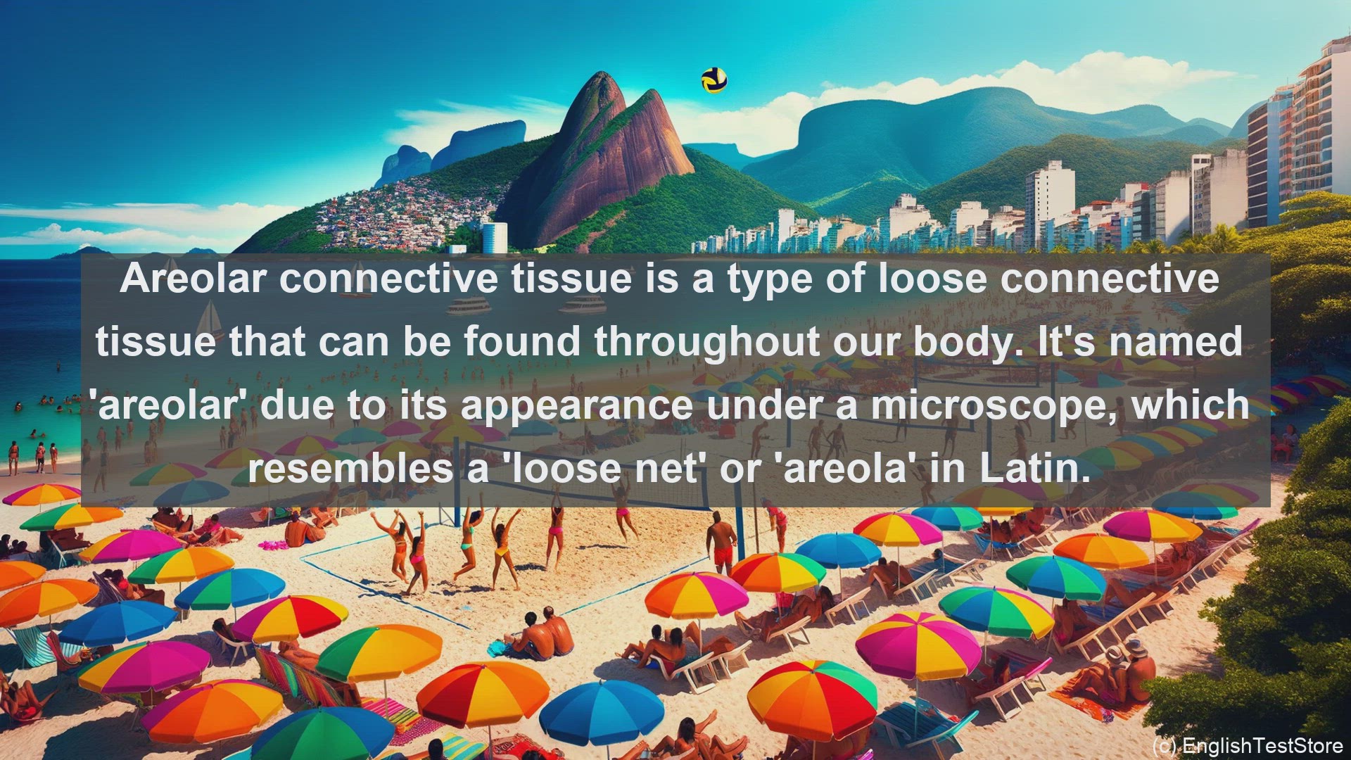 'Video thumbnail for Areolar connective tissue in science  definition and examples'