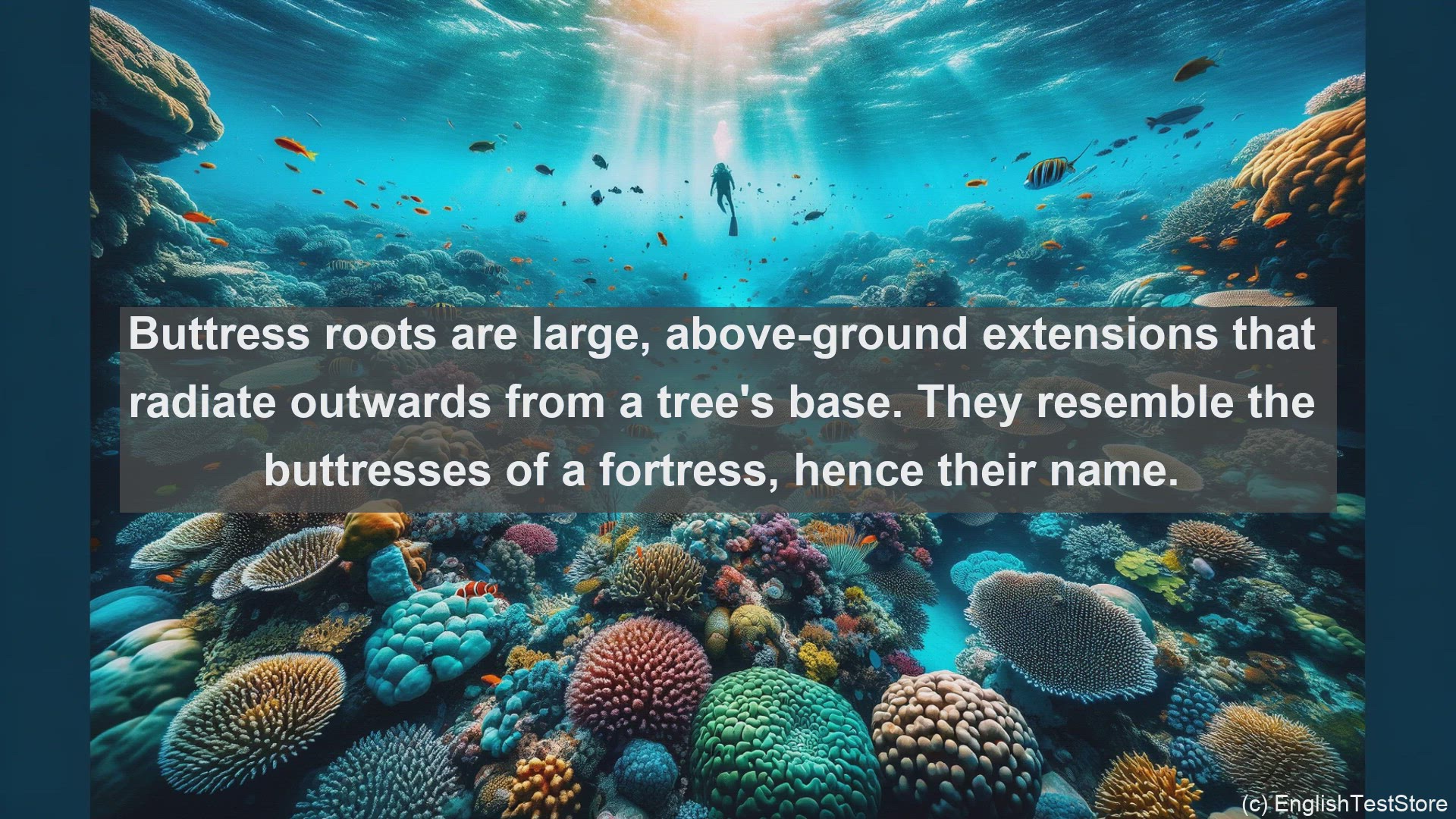 'Video thumbnail for Buttress roots in science  definition and examples'