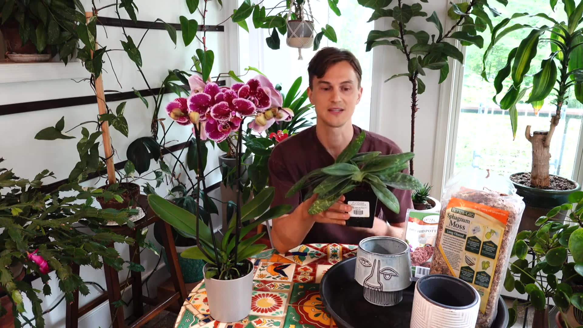 'Video thumbnail for ORCHIDS - Easy Repotting Tutorial'