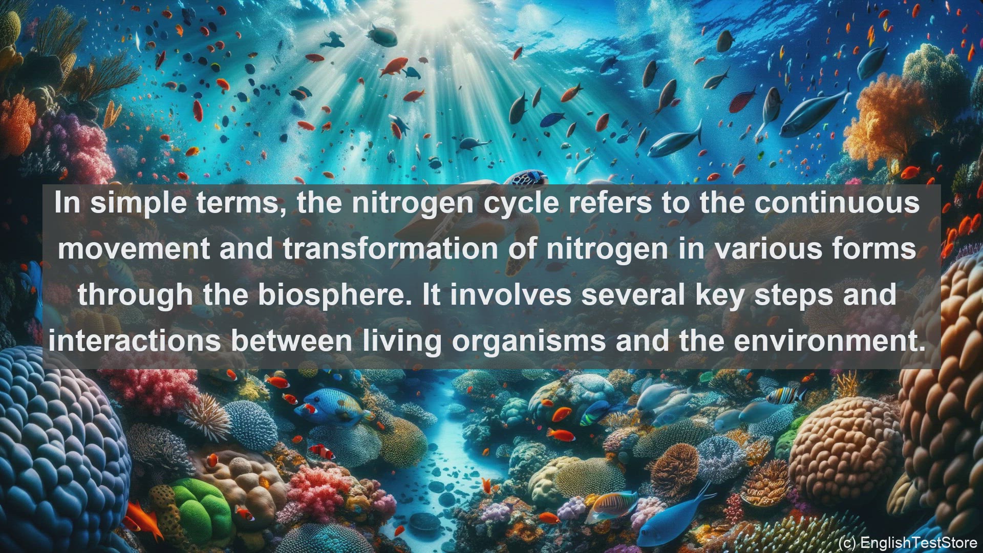 'Video thumbnail for Nitrogen cycle in science  definition and examples'