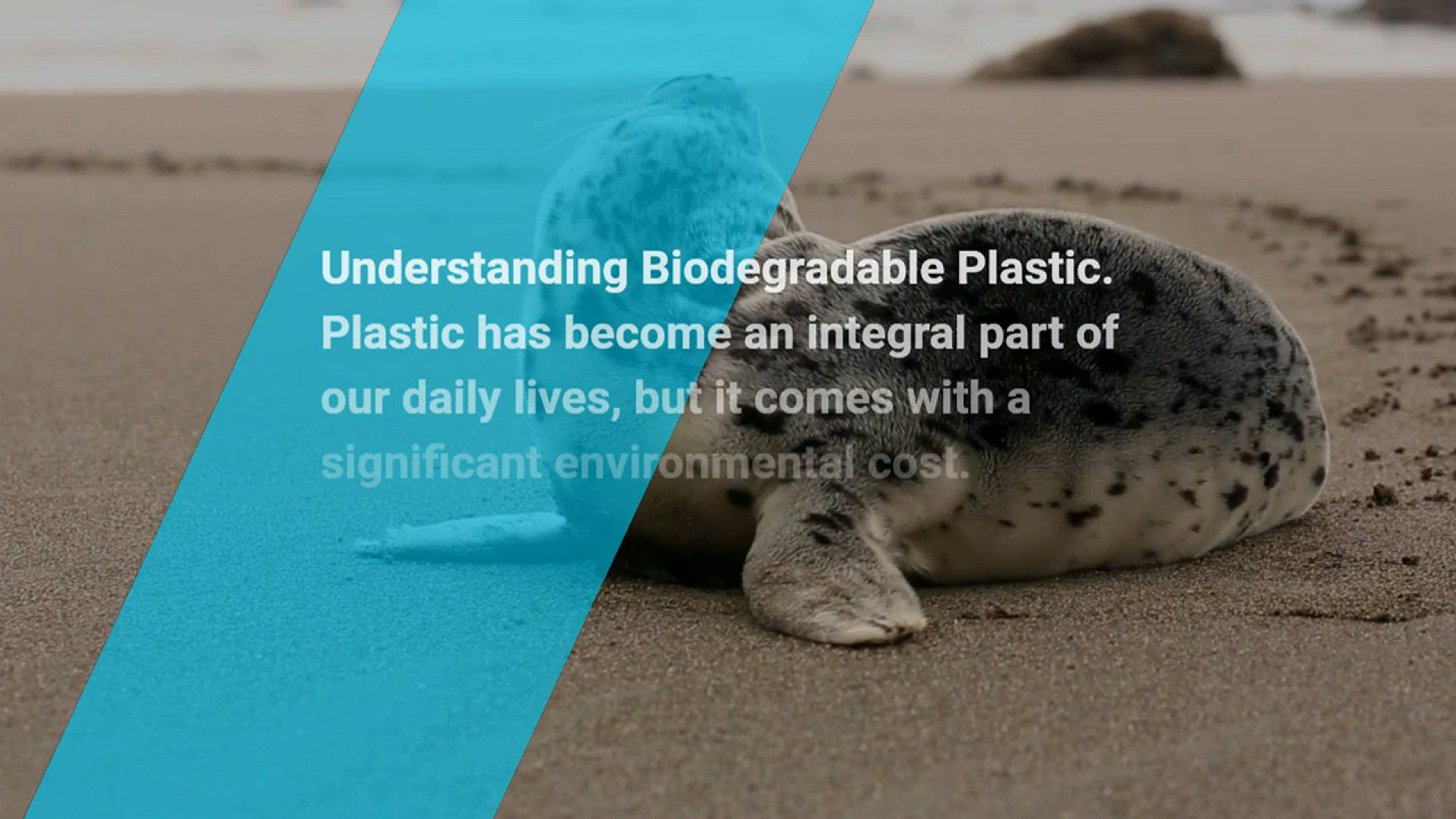 Biodegradable Vs. Compostable Trash Bags: A Comparative Guide Featuring Top  Eco-Friendly Brands - The Eco Hub