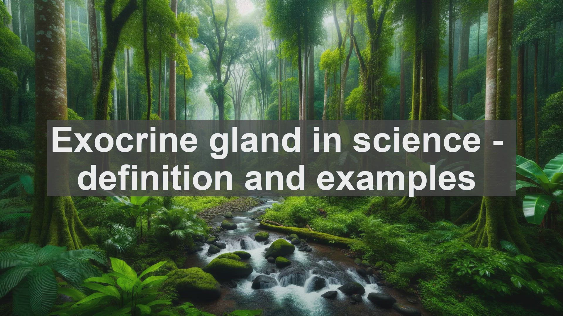 'Video thumbnail for Exocrine gland in science  definition and examples'