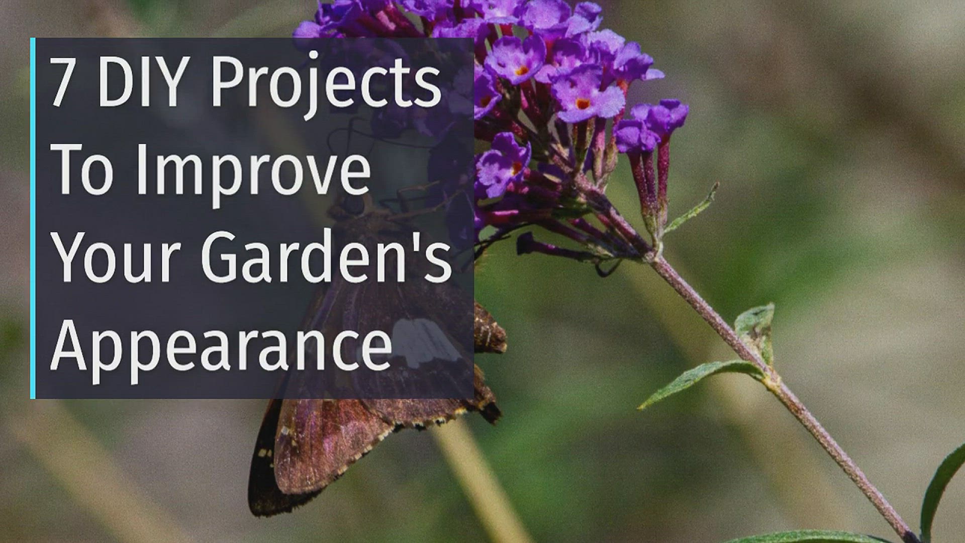 Video thumbnail for 7 Quick And Easy DIY Projects To Improve Your Garden's Appearance
